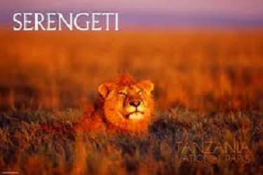 Serengeti National Park