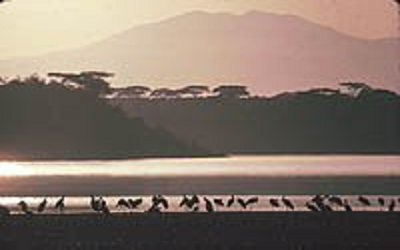 Serengeti National Park